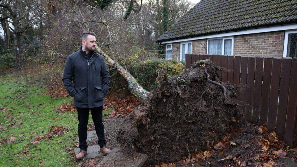 Stefan Walker with fallen tree