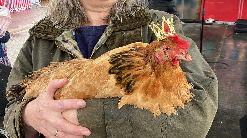 Buffy the chicken being held by its owner