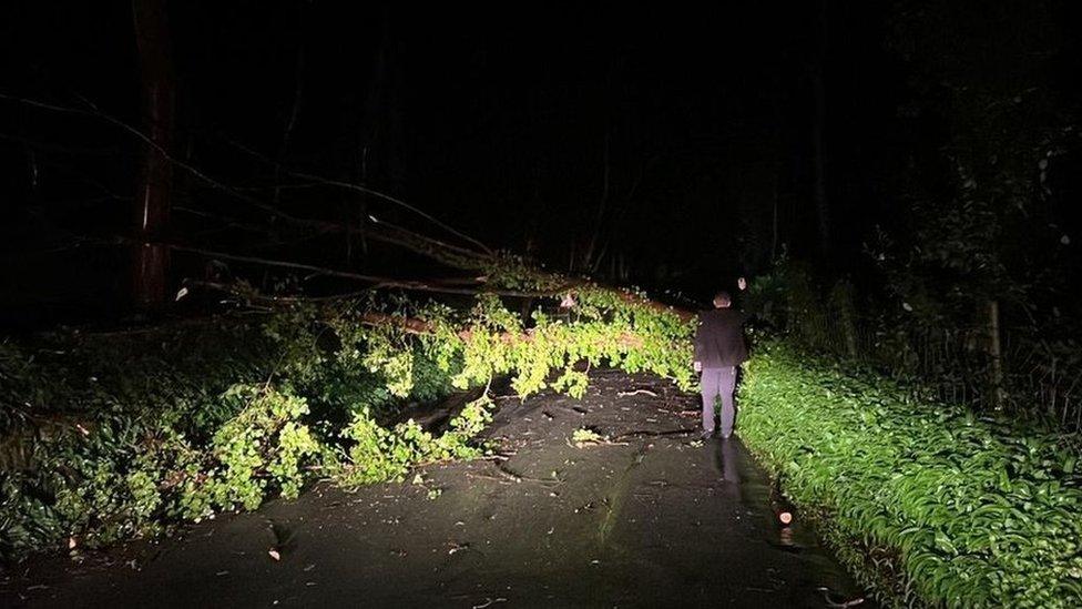 Tree down on East Baldwin Road