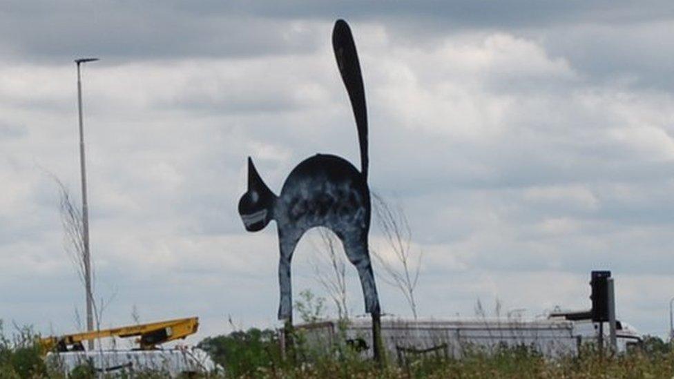 White splashed black cat on roundabout