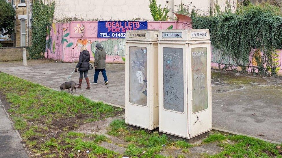 Image of the protected phone boxes