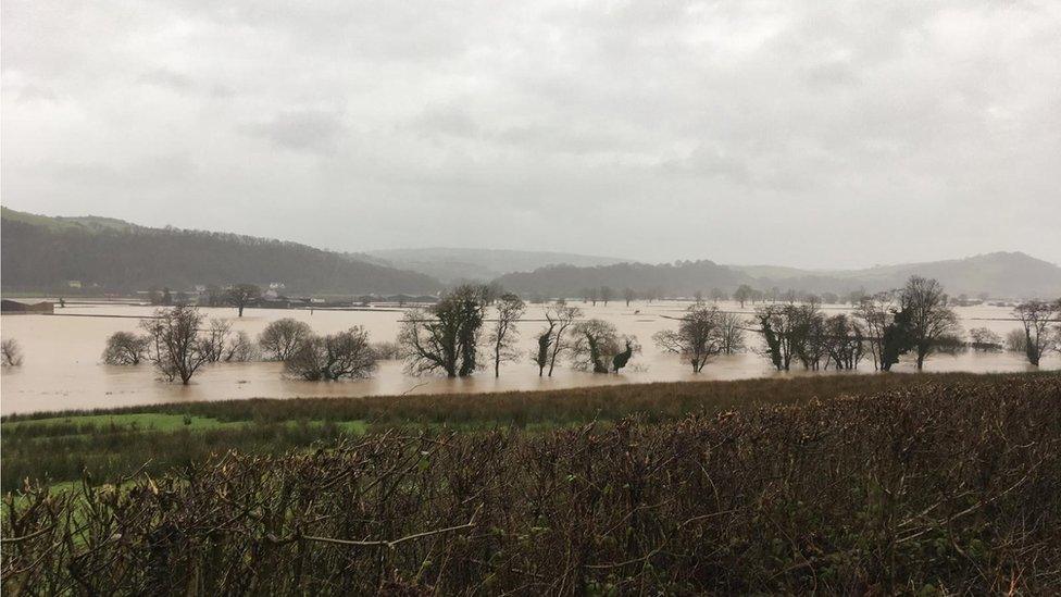 Afon Tywi, Nantgaredig, Caerfyrddin