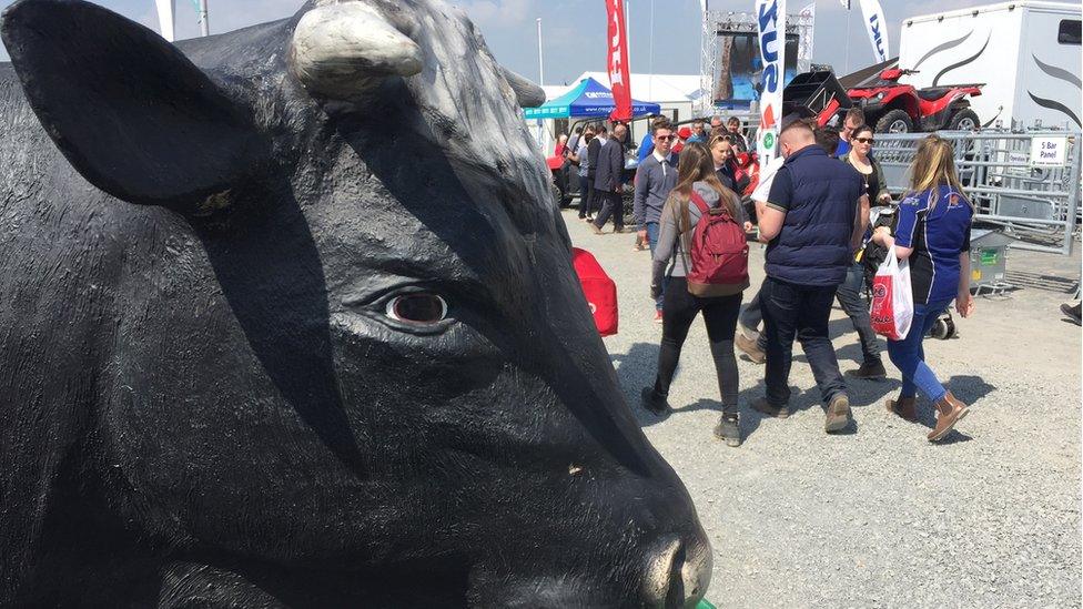 Balmoral Show 2017