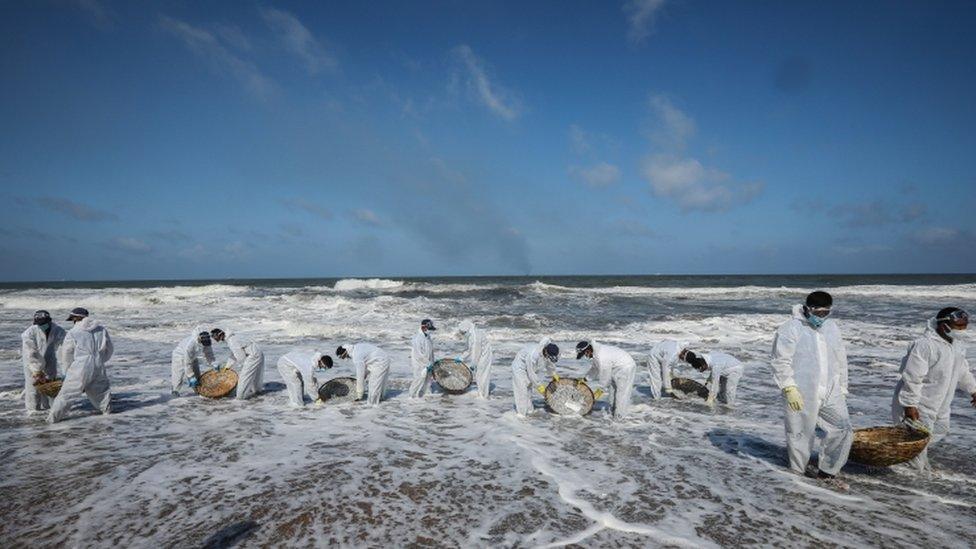 workers-cleaning-up-plastic-pellets-from-beach.