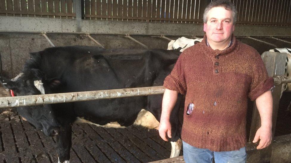 Keith Pugh with a cow