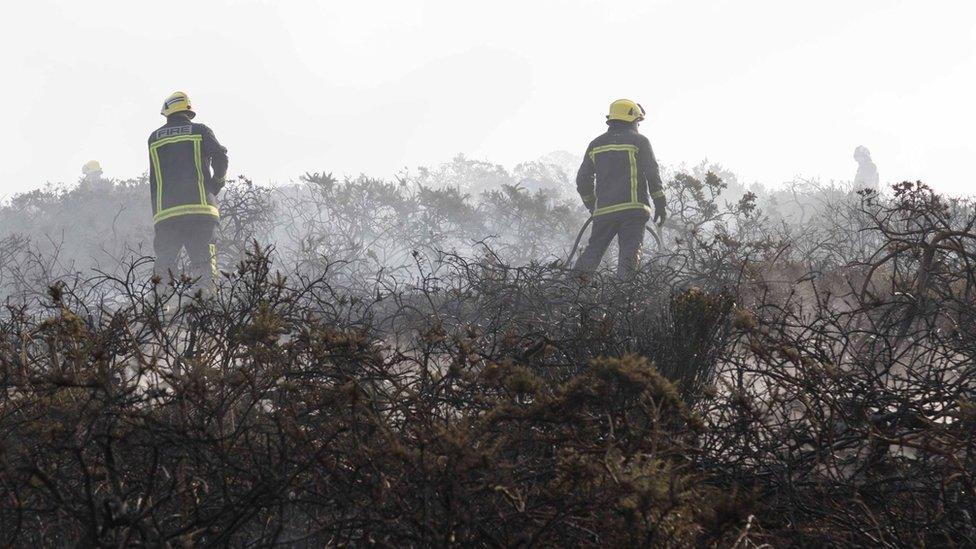 Two fire men attend the blaze on Sark's clifftop