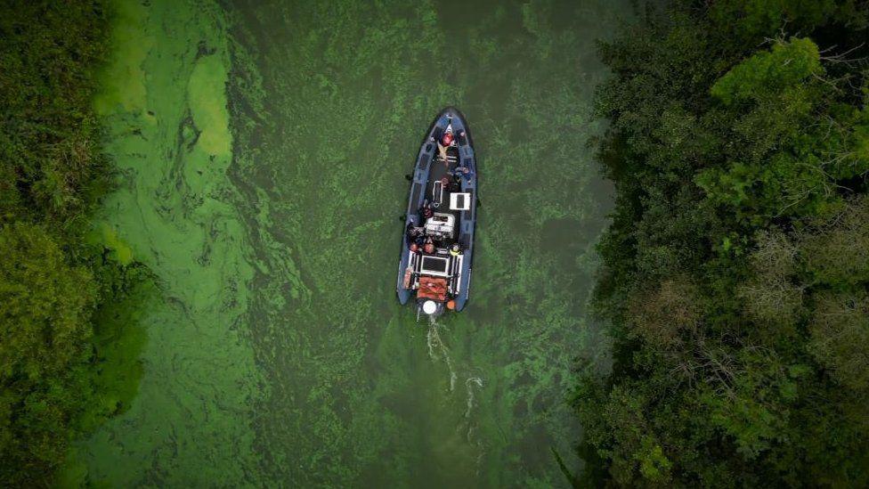 A boat in the middle of Lough Neagh, which has been made green due to the blue-green algae problem