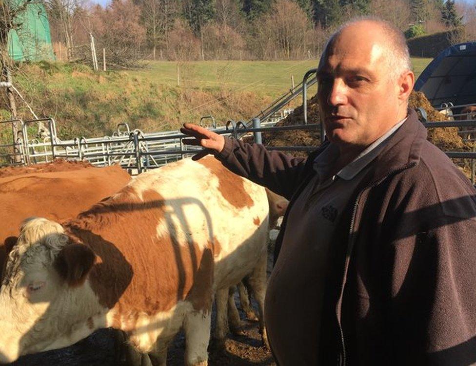 Fritz Bernhard with his cattle