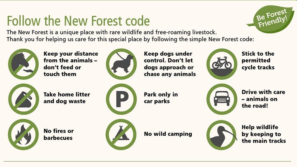 New Forest Code