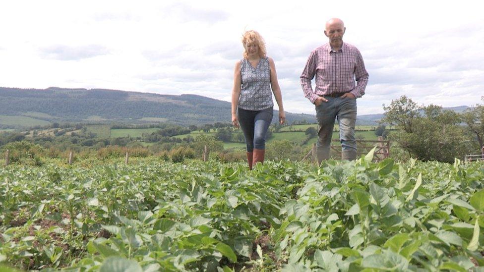 Trevor Armstrong and Dianne Little from Letterbreen and Mullaghdun Partnership