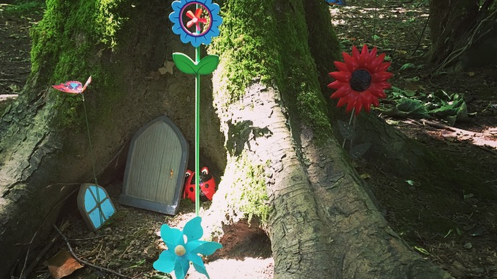 A miniature door and decorations at the base of a tree in Withybush Woods