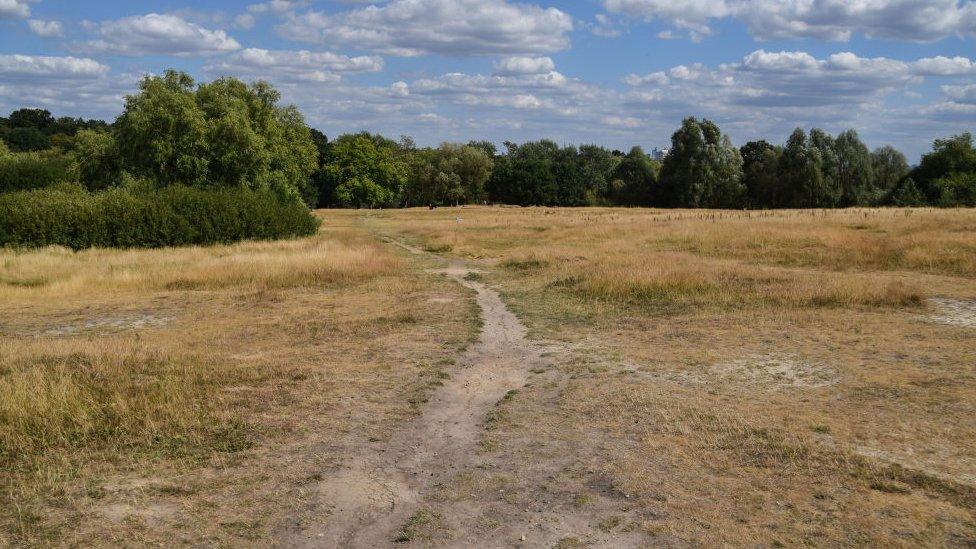 Dry grass over Primrose Hill in London