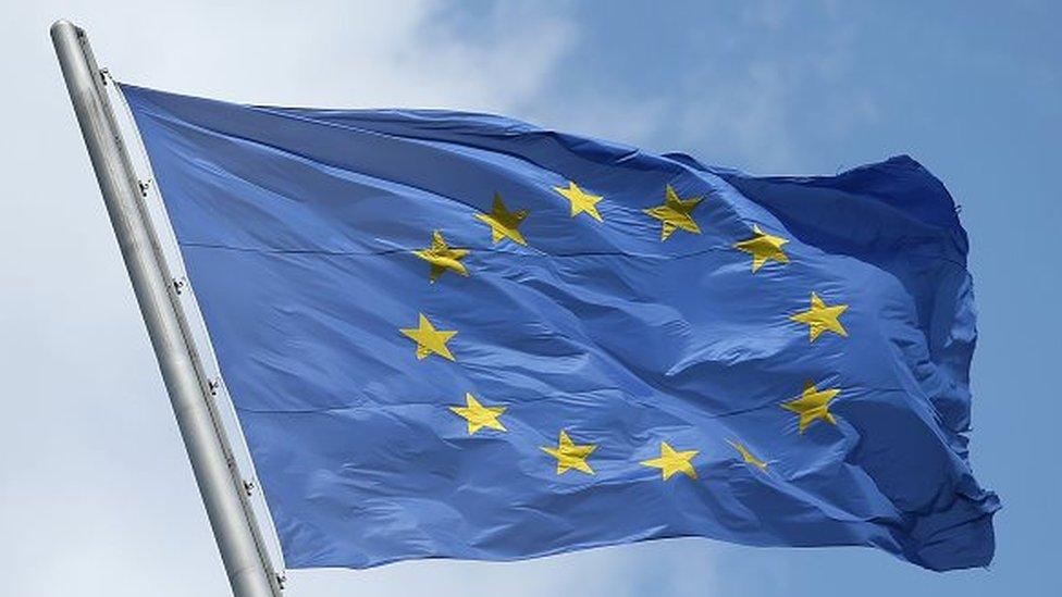 The flag of the European Union