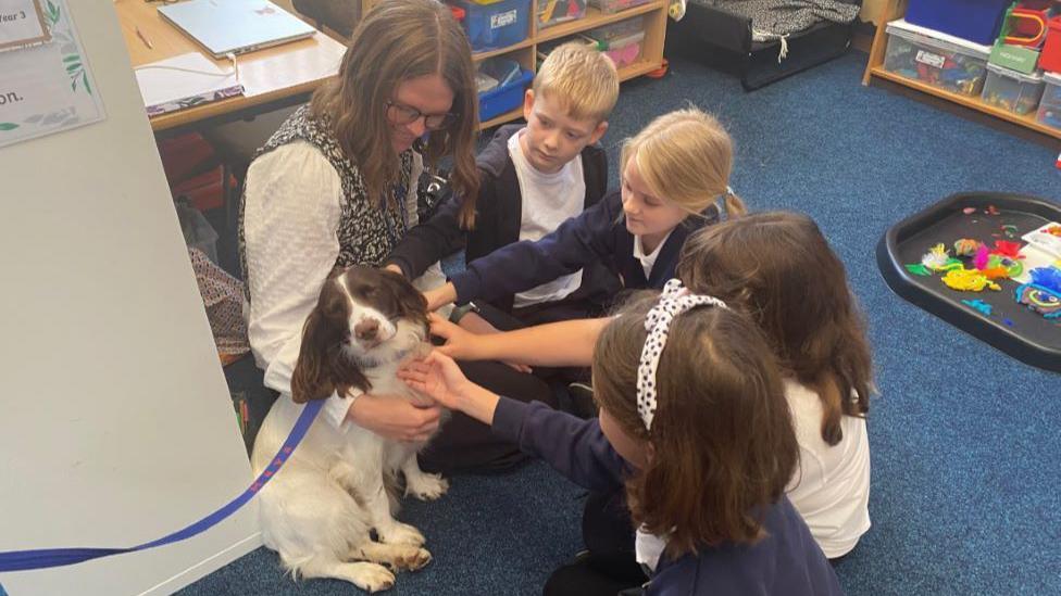 Maya the dog being stroked and cuddled by pupils and a teacher in a classroom 