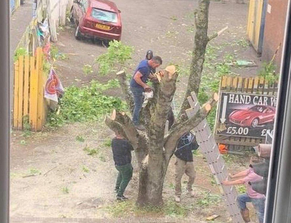 Men cutting down one of the maple trees on 13 June 2019