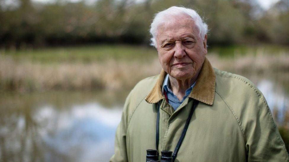 david-attenborough.