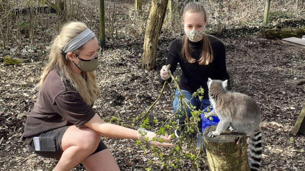 Visitors with a lemur