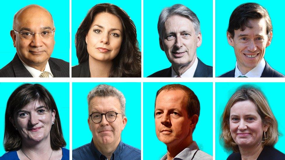 Clockwise from top left: Keith Vaz, Heidi Allen, Philip Hammond, Rory Stewart, Amber Rudd, Nick Boles, Tom Watson and Nicky Morgan