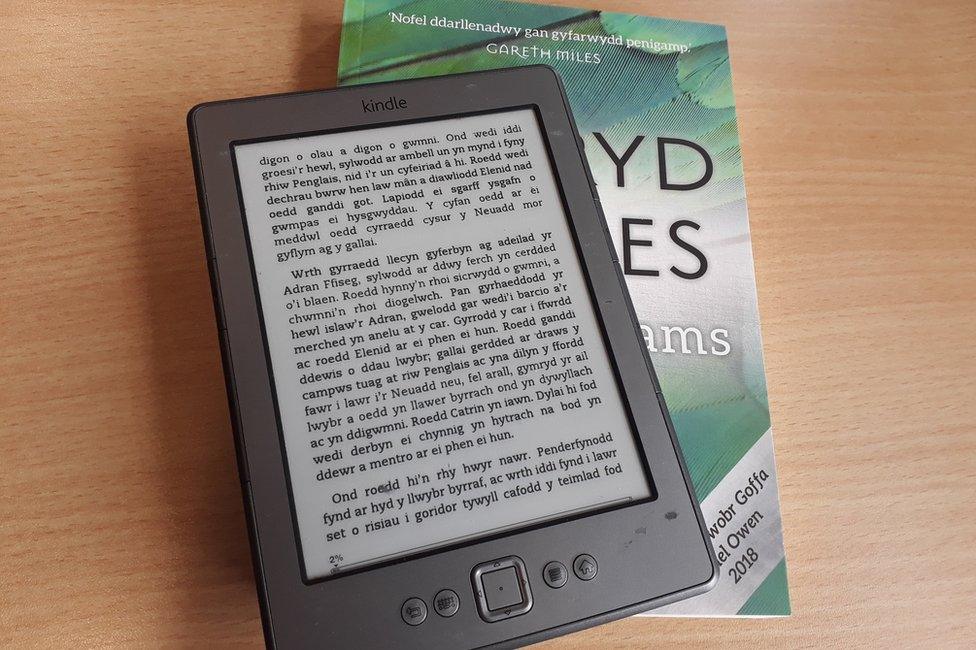 Kindle - Y Llwybr, Ysbryd yr Oes