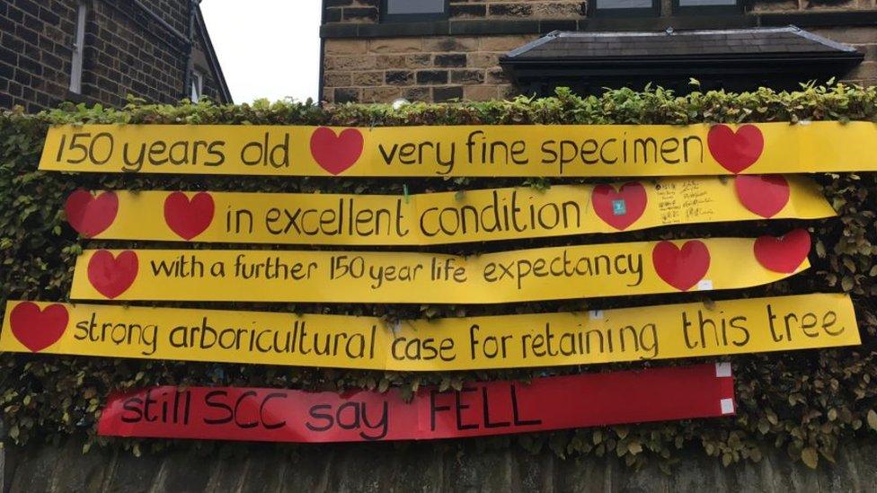 Protest sign on Vernon Road, Sheffield