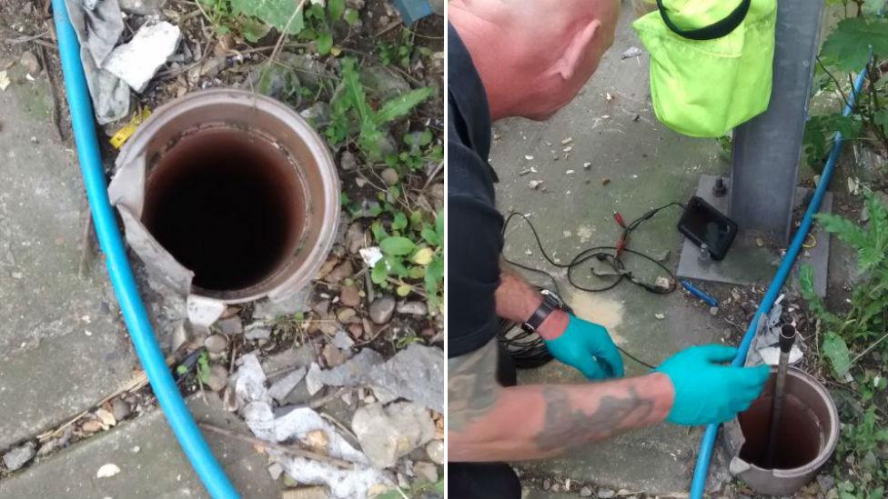 Drain rescue of kittens