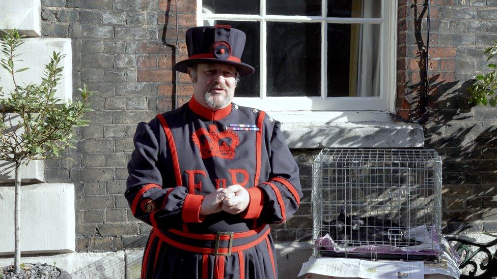 Ravenmaster