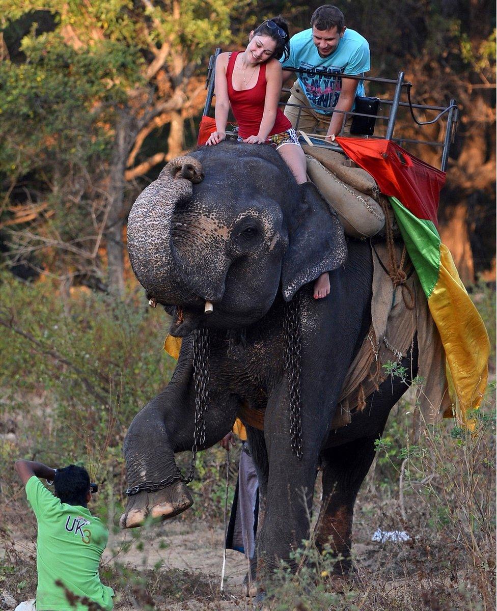 Tourists on the back of an elephant in Sri Lanka - 2014