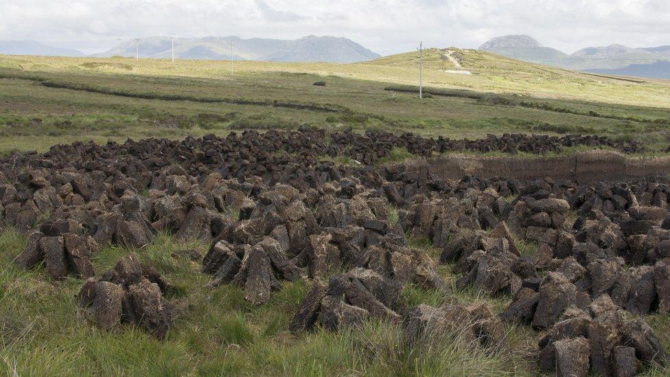 Peat after being cut.