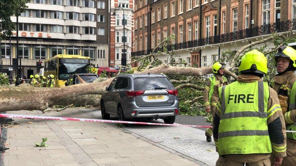 Fire crews are at the scene in Russell Square