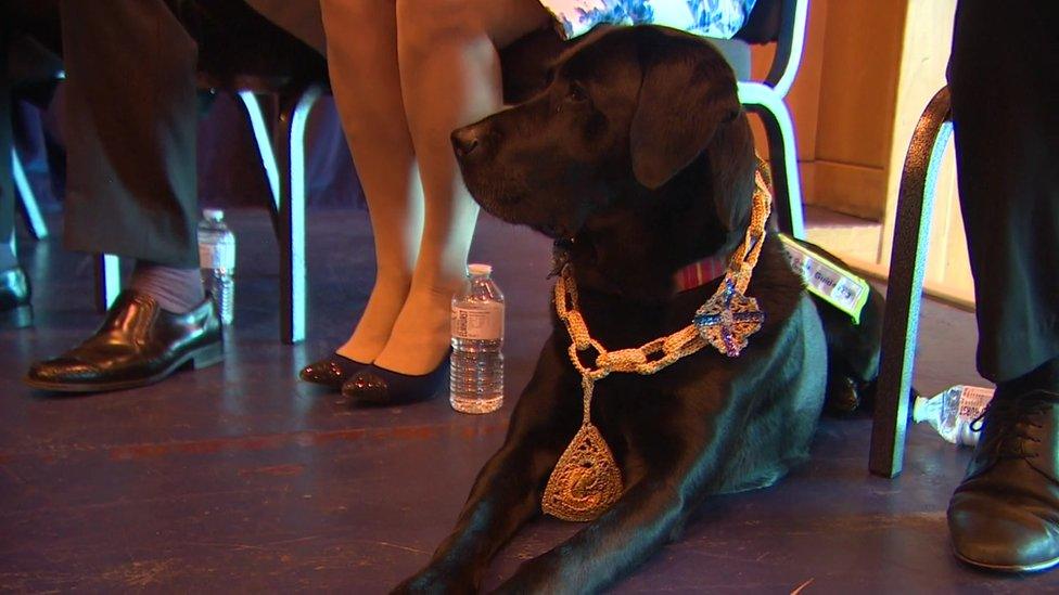 Dog with crochet chain