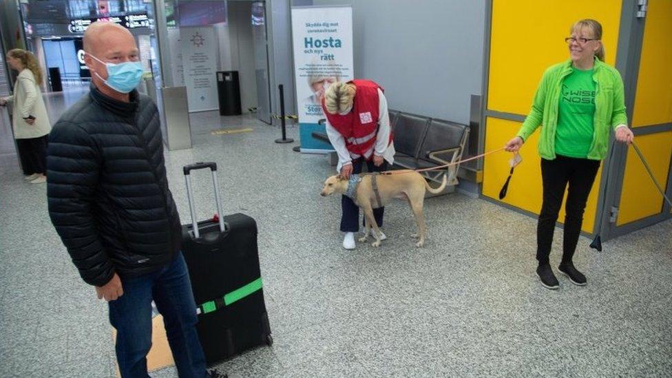 A passenger (left) prepares to be tested by sniffer dog Kossi. Photo: September 2020