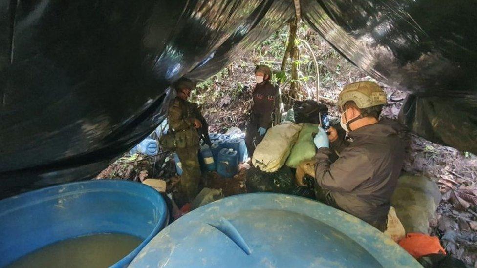 The Colombian Armed Forces seized in southern Colombia about 10 tons of cocaine and destroyed two laboratories for the processing of hydrochloride cocaine, in the village of El Decio, municipality of Samaniego, department of Narino, on November 25, 2021