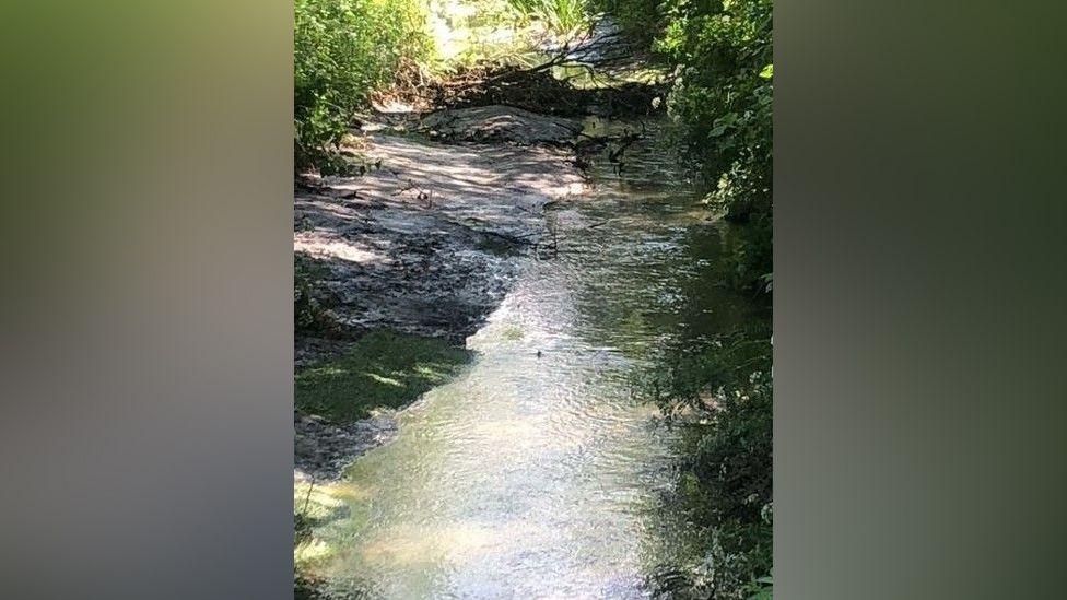 A river with reduced water levels under a canopy of trees and bushes