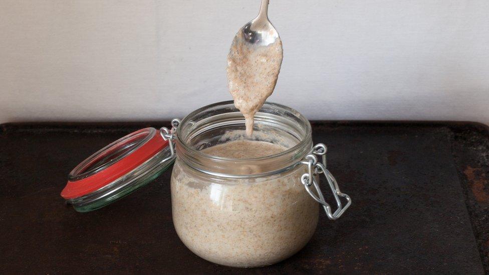 Sourdough Starter Culture from Hobbs House Bakery