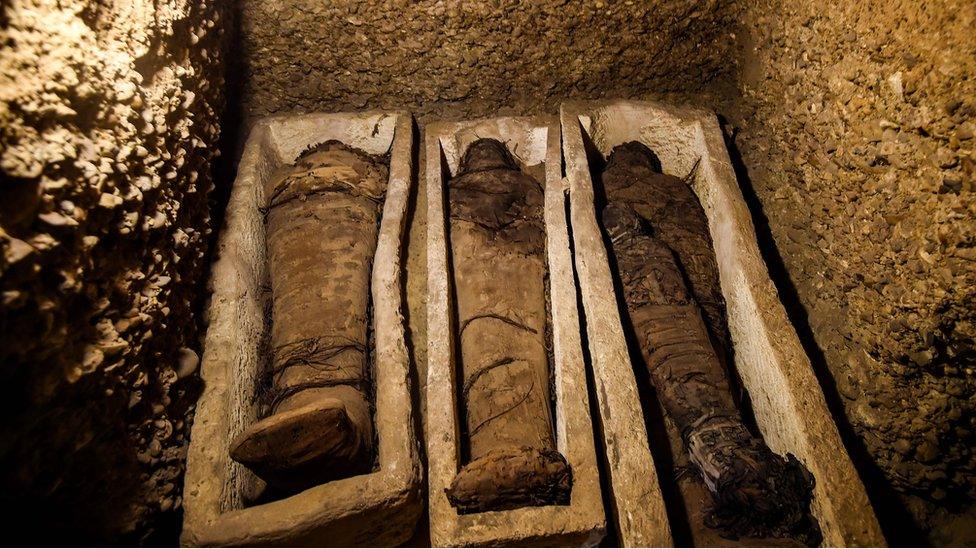 mummies in stone coffins