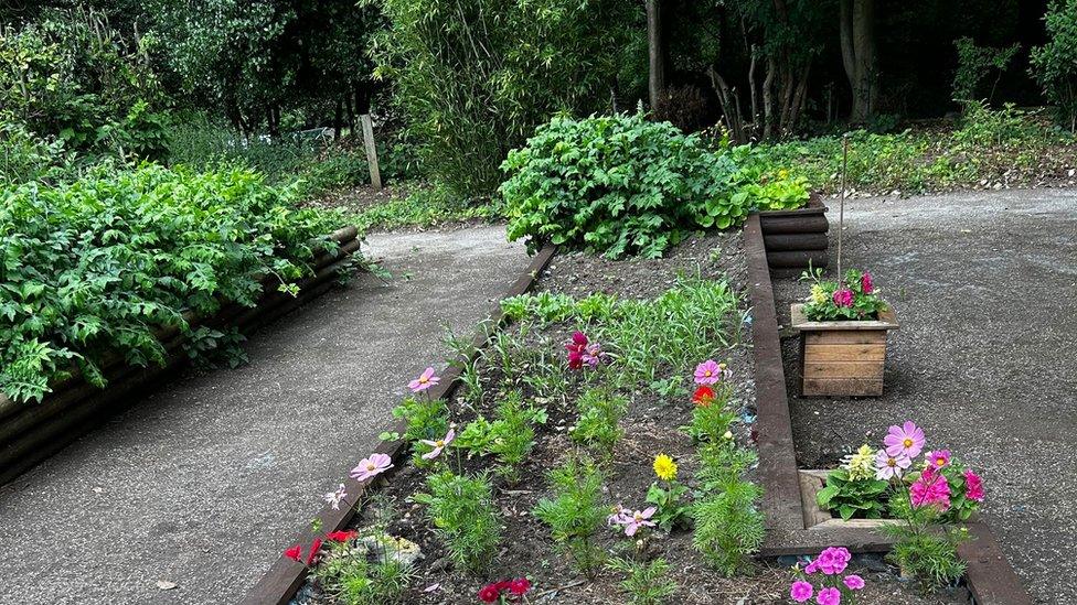 sensory garden