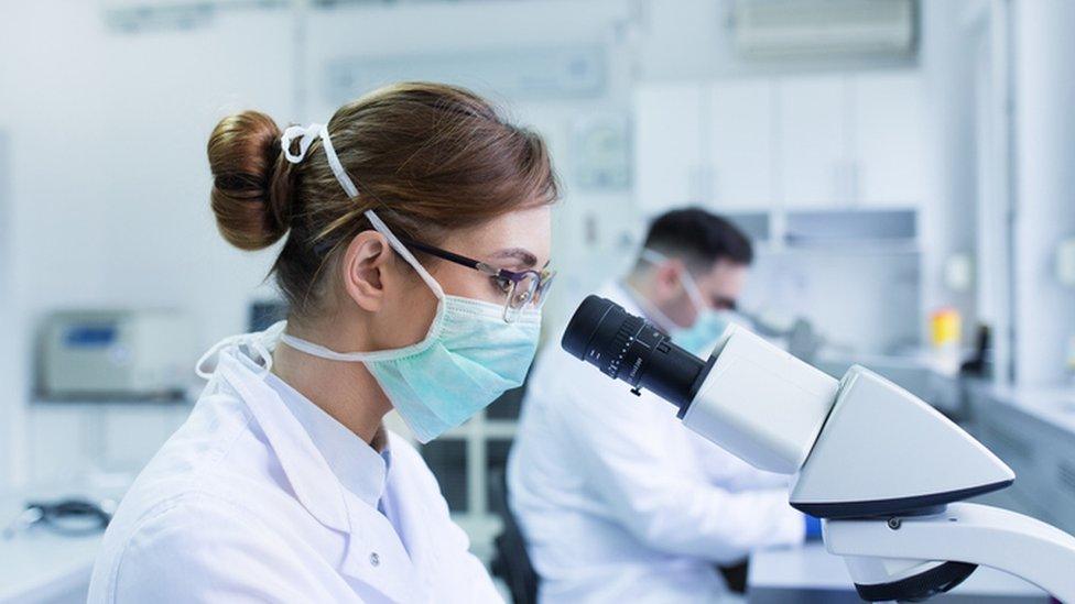 generic pic of scientists in lab