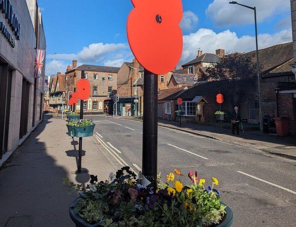 Wallingford poppies