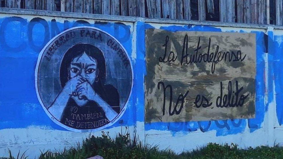 A mural in Spanish reads "I'd Defend Myself, Too'