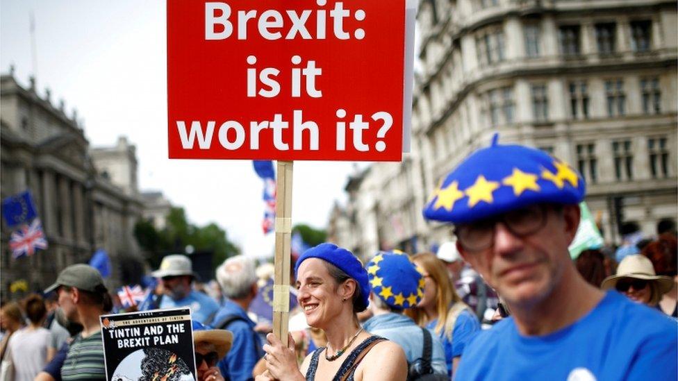 Pro-EU protestors