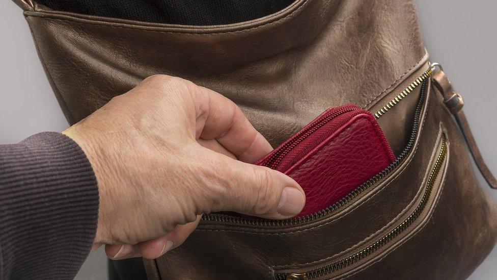 Wallet theft generic