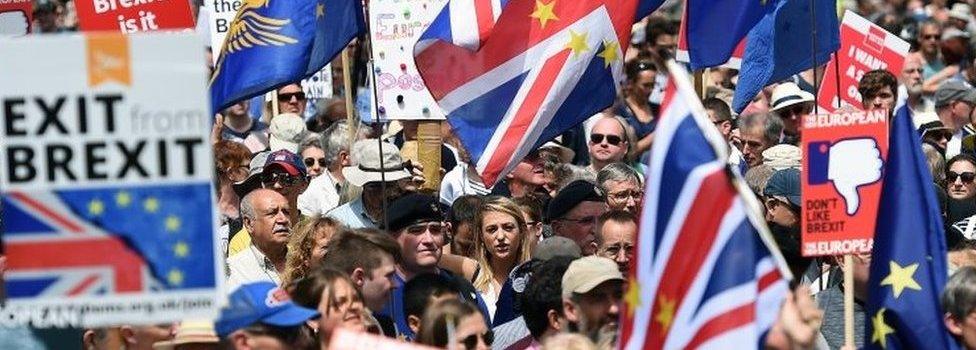 Pro-EU protesters