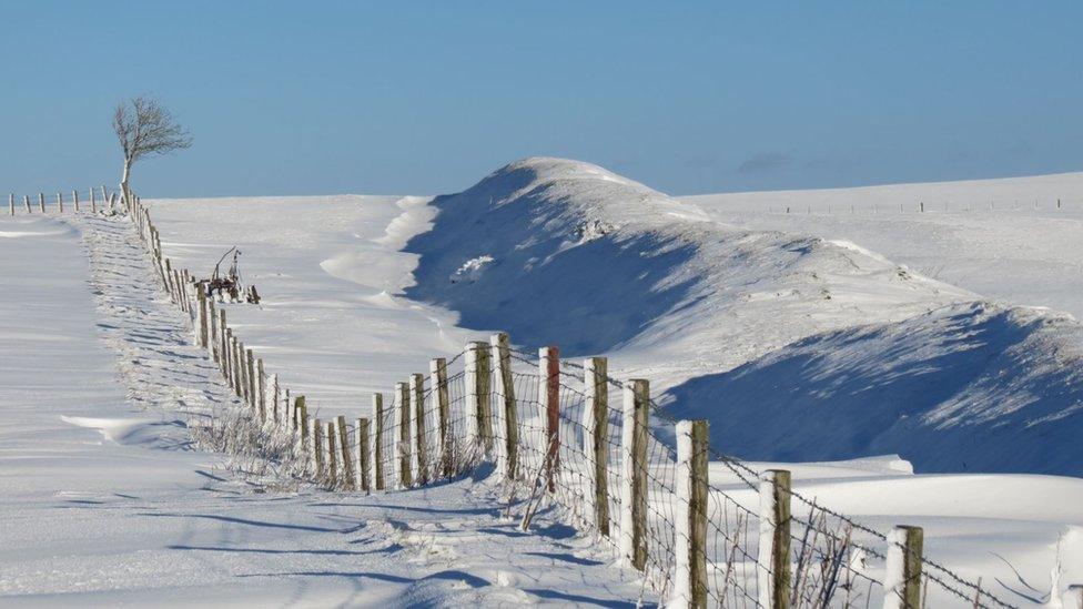 Offa's Dyke on Llanfair Hill by Janet Lewis