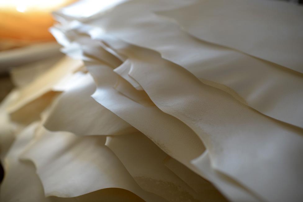 Sheets of vellum