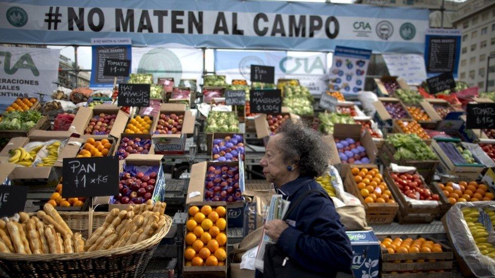 A woman walks past a produce stand below a banner with an Argentine national flag motif that reads in Spanish: "Don"t kill the farm," during a farmers' protest at the Obelisk in Buenos Aires, Argentina, Wednesday, Oct. 14, 2015.