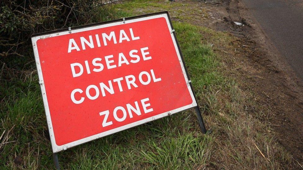 A red sign which has been put up on a patch of grass next to the side of a road. The sign is red with a white border and white writing which says ANIMAL DISEASE CONTROL ZONE.