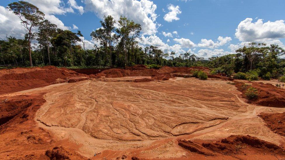 Large areas of forest have been cut down for mining