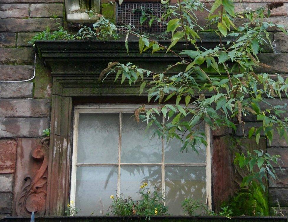 Inappropriate growth of vegetation on Edinburgh building