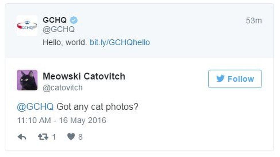 Meowski Catovitch tweets: At GCHQ, Got any cat photos?