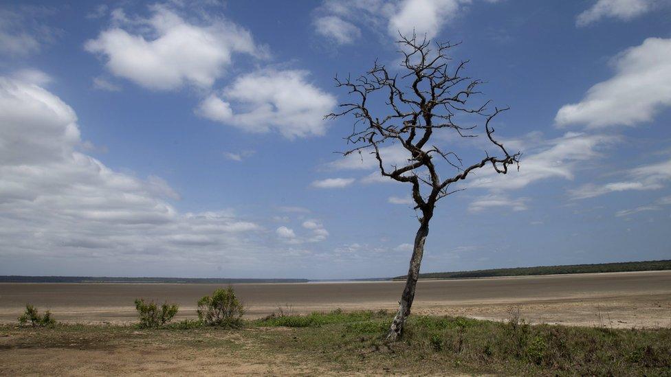 Lake St Lucia, badly depleted by drought conditions in South Africa